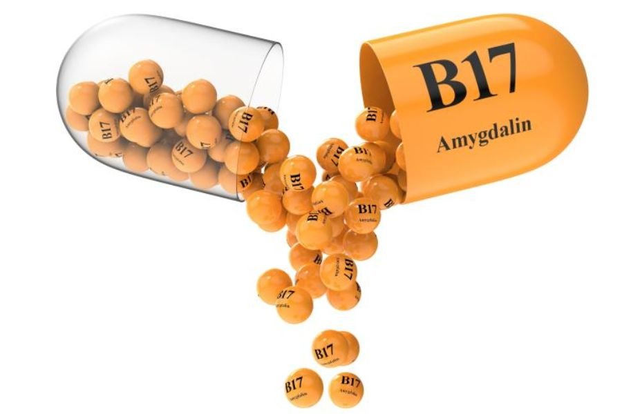 Laetrile (Amygdalin or Vitamin B17) Really a Cancer Treatment