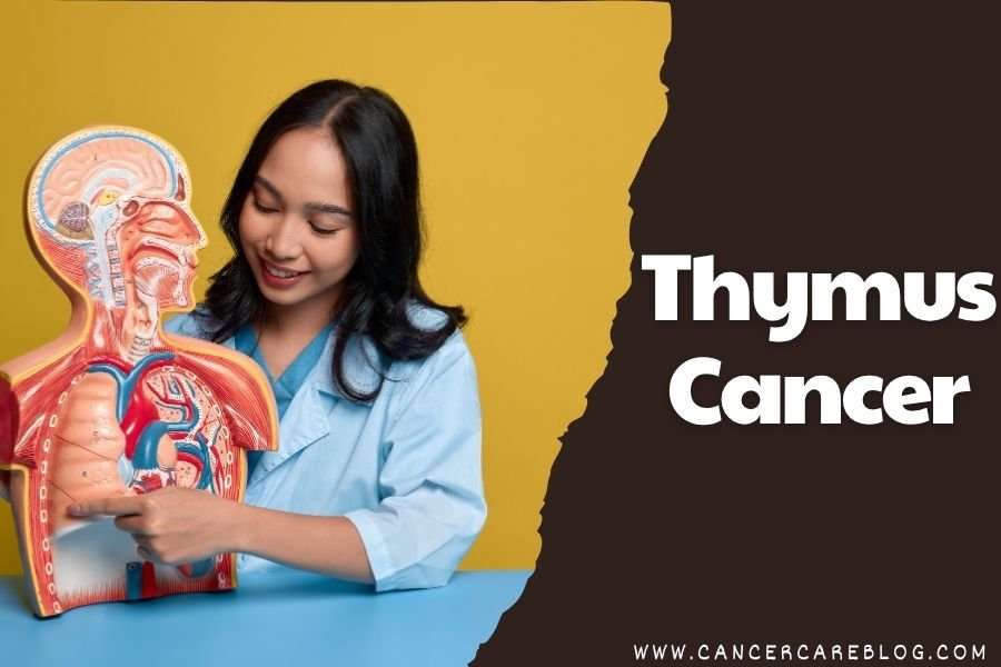 Thymus Cancer